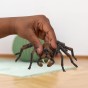 13987_v2_v23_tp_ww_hand.jpg
