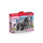 42620_pack_v23_tp.jpg