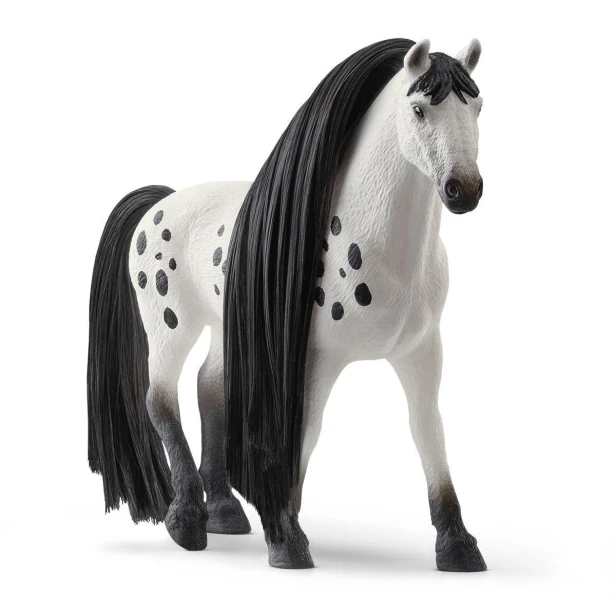 42622_01_v23_tp.jpg