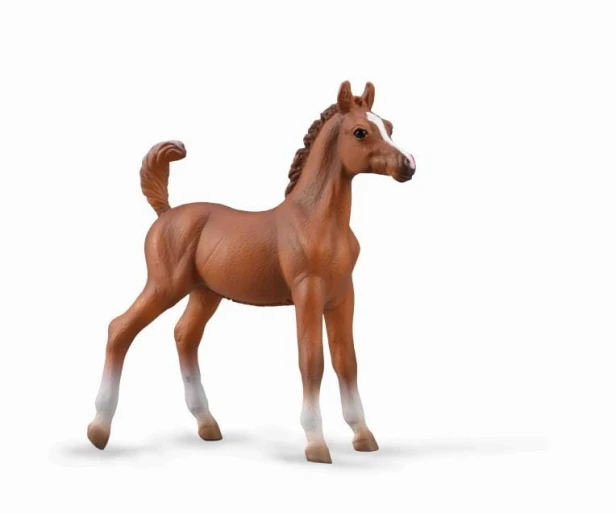 collecta_88992.jpg