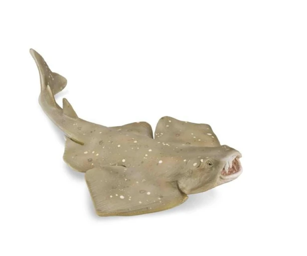 collecta_88999.jpg