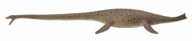 Collecta 88760_1.jpg
