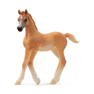 Schleich Źrebię czystej krwi arabskiej (Schleich 13984)
