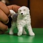 dsc02881_1200x1200.jpg