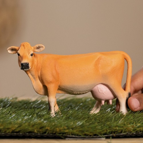 dsc02800_1200x1200.jpg