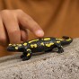 dsc01887_1200x1200.jpg