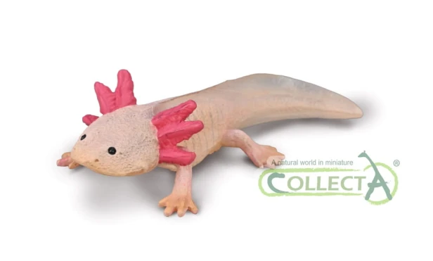 Collecta 80015.jpg