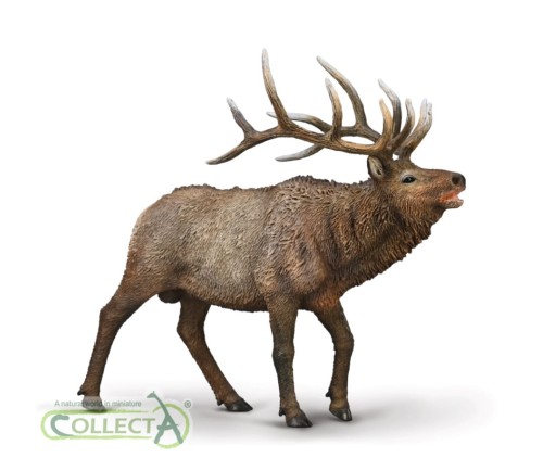 Collecta 80021.jpg