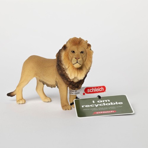 C2C_Lion_1200x1200_1.jpg