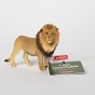 C2C_Lion_1200x1200_1.jpg