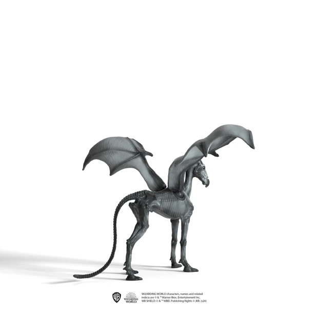 13996_v2_v24_TP_1200x1200_dc98f061-d721-4e61-8a73-e851bc3cbd23.png