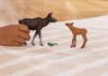 42603_WL_MooseCalf_cropped_quer_RGB.jpg