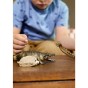 Schleich 42625_2.jpg