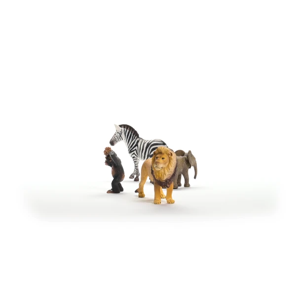 42721_v1_v24_TP_WL.png