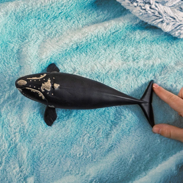 Schleich 14878_1.jpg
