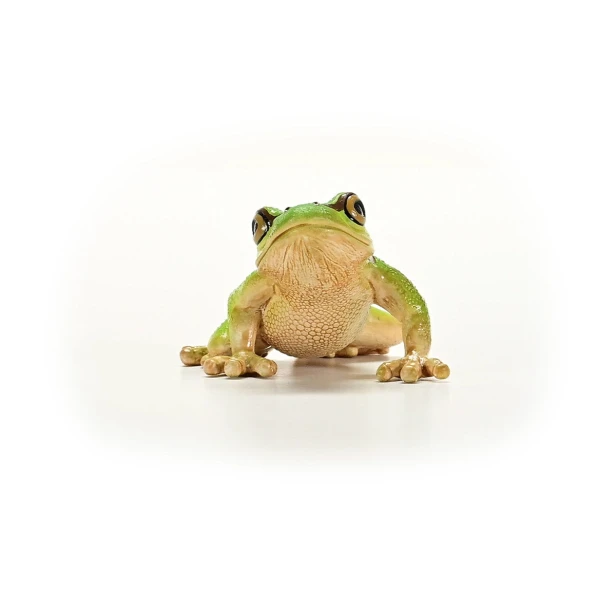 Schleich 14882_2.jpg