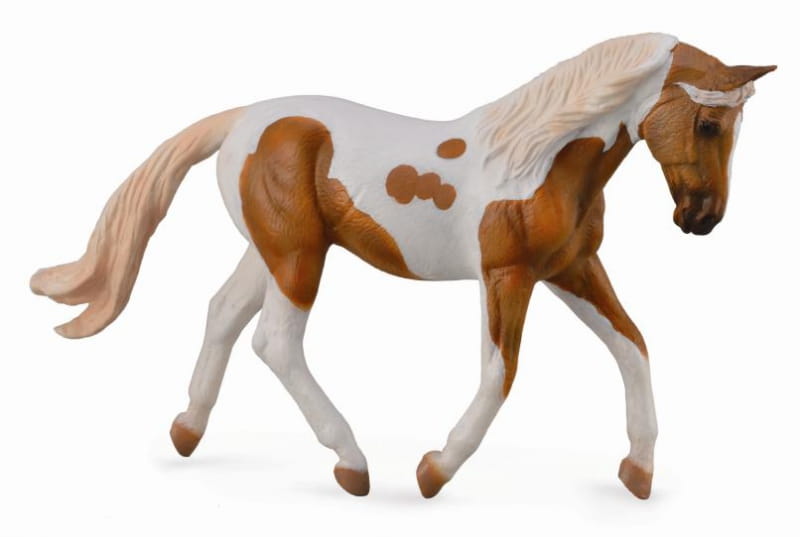 CollectA – Cavallo Marwari Stallione Grigio – Figurina XL Dettagliata – Razza Indiana – Giocattolo Educativo - 2